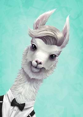 Llama questionning