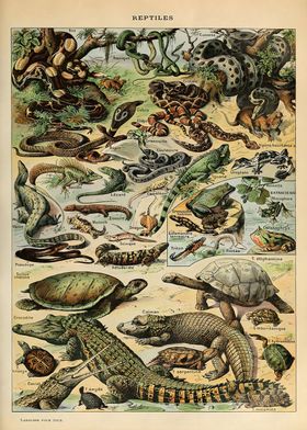 Adolphe Millot Vintage-preview-1