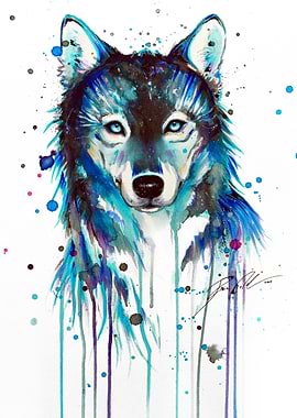 Blue wolf