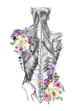Anatomy Flowers Text-preview-1