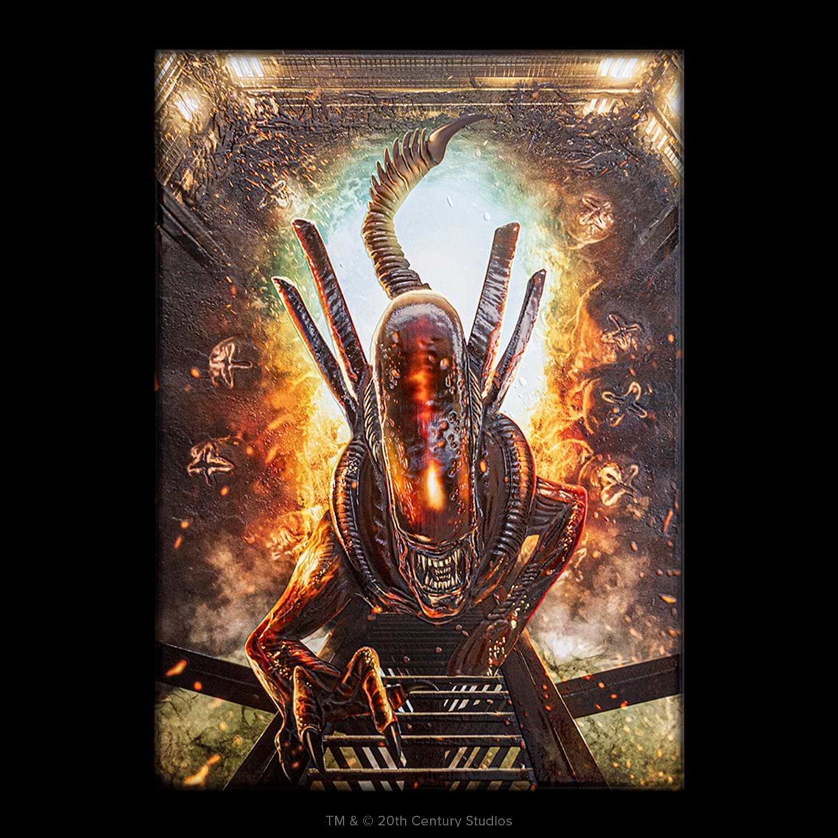 Limited Displate image