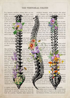 Anatomy Flowers Text-preview-2