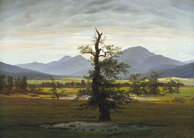 Caspar David Friedrich-preview-2