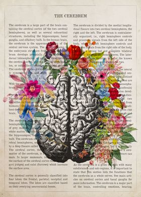Anatomy Flowers Text-preview-0