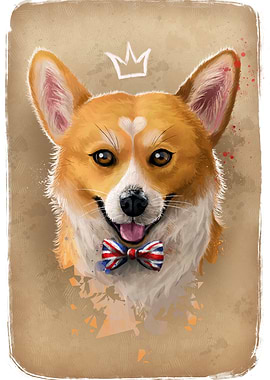 Corgi