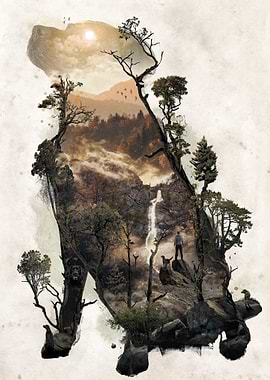 Labrador Retriever Dog