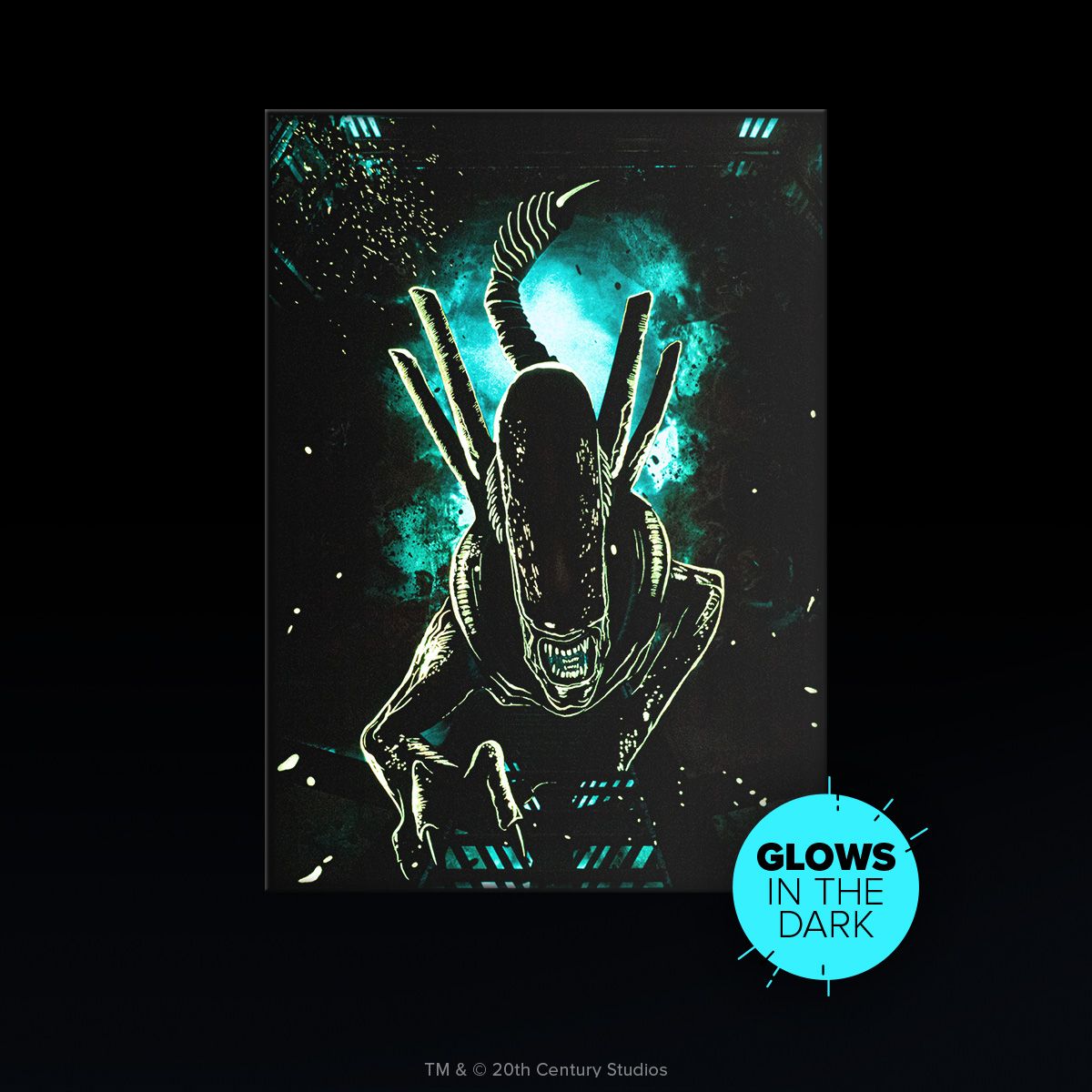 Limited Displate image